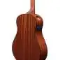 Ibanez AAM100E-NT
