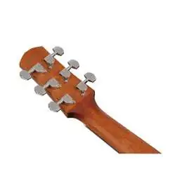 Ibanez AAM100E-NT