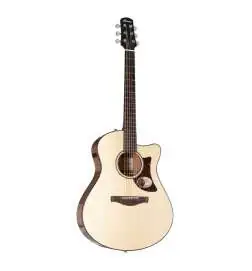 Ibanez AAM300CE-NT