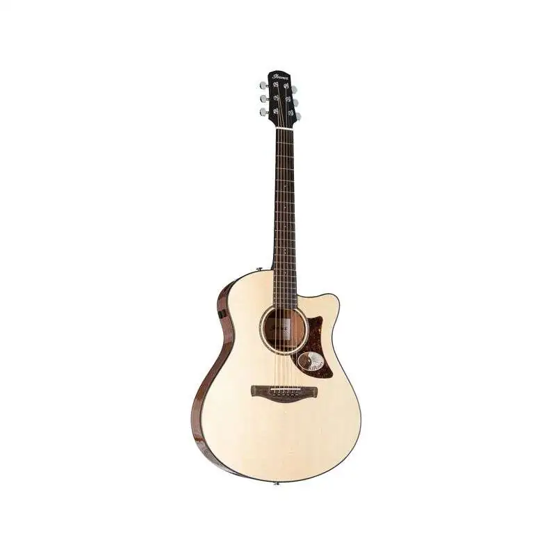 Ibanez AAM300CE-NT