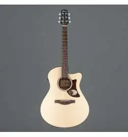 Ibanez AAM300CE-NT