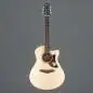 Ibanez AAM300CE-NT