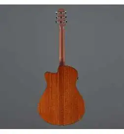 Ibanez AAM300CE-NT