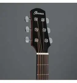 Ibanez AAM300CE-NT