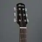 Ibanez AAM300CE-NT
