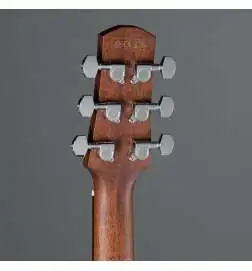 Ibanez AAM300CE-NT