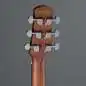 Ibanez AAM300CE-NT