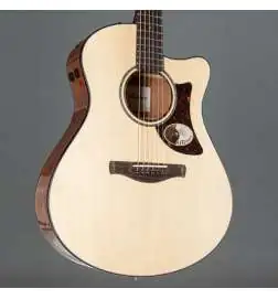 Ibanez AAM300CE-NT