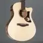 Ibanez AAM300CE-NT