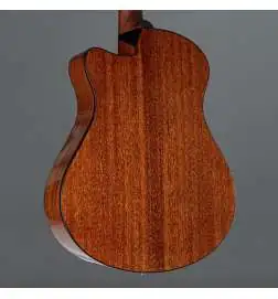 Ibanez AAM300CE-NT