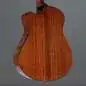 Ibanez AAM300CE-NT