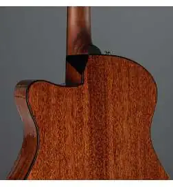 Ibanez AAM300CE-NT