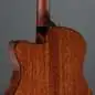 Ibanez AAM300CE-NT