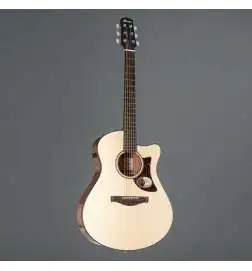 Ibanez AAM300CE-NT