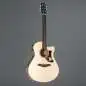 Ibanez AAM300CE-NT