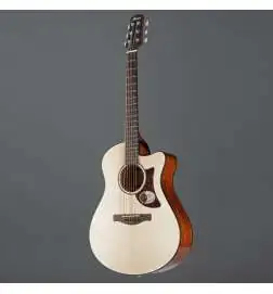 Ibanez AAM300CE-NT