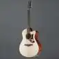 Ibanez AAM300CE-NT