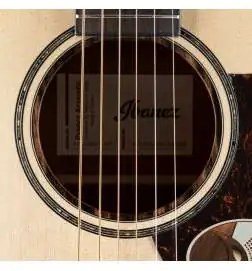 Ibanez AAM300CE-NT