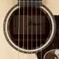 Ibanez AAM300CE-NT