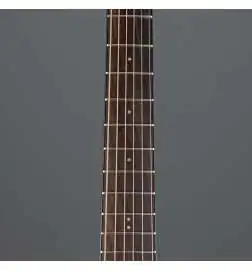Ibanez AAM300CE-NT