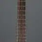 Ibanez AAM300CE-NT