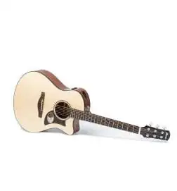 Ibanez AAM300CE-NT