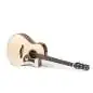 Ibanez AAM300CE-NT