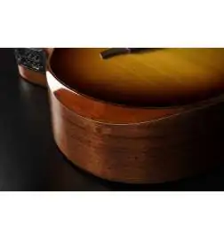 LAG Guitars T118ABCE-BRS