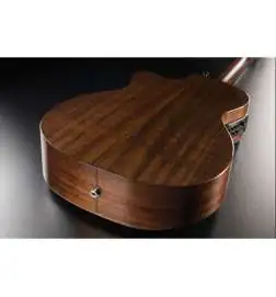 LAG Guitars T118ABCE-BRS