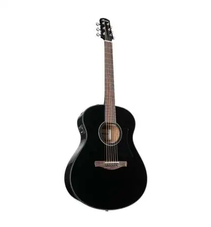 Ibanez AAM100E-BK