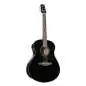 Ibanez AAM100E-BK