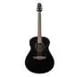 Ibanez AAM100E-BK