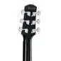 Ibanez AAM100E-BK