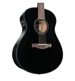 Ibanez AAM100E-BK