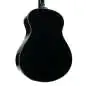 Ibanez AAM100E-BK