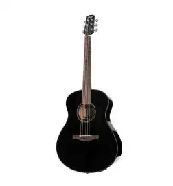 Ibanez AAM100E-BK