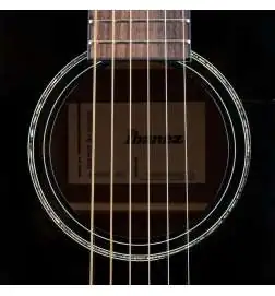 Ibanez AAM100E-BK
