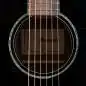 Ibanez AAM100E-BK