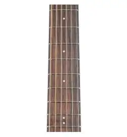 Ibanez AAM100E-BK