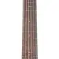 Ibanez AAM100E-BK