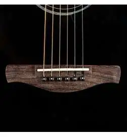 Ibanez AAM100E-BK