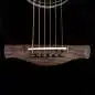 Ibanez AAM100E-BK