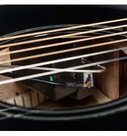 Ibanez AAM100E-BK