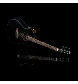 Ibanez AAM100E-BK