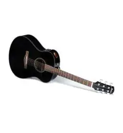 Ibanez AAM100E-BK