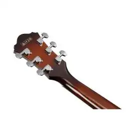 Ibanez AE160-VMS