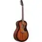 Ibanez AAM140E-MHS