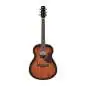 Ibanez AAM140E-MHS