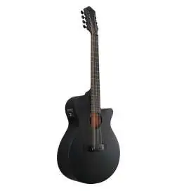 Ibanez AEG721-BOT