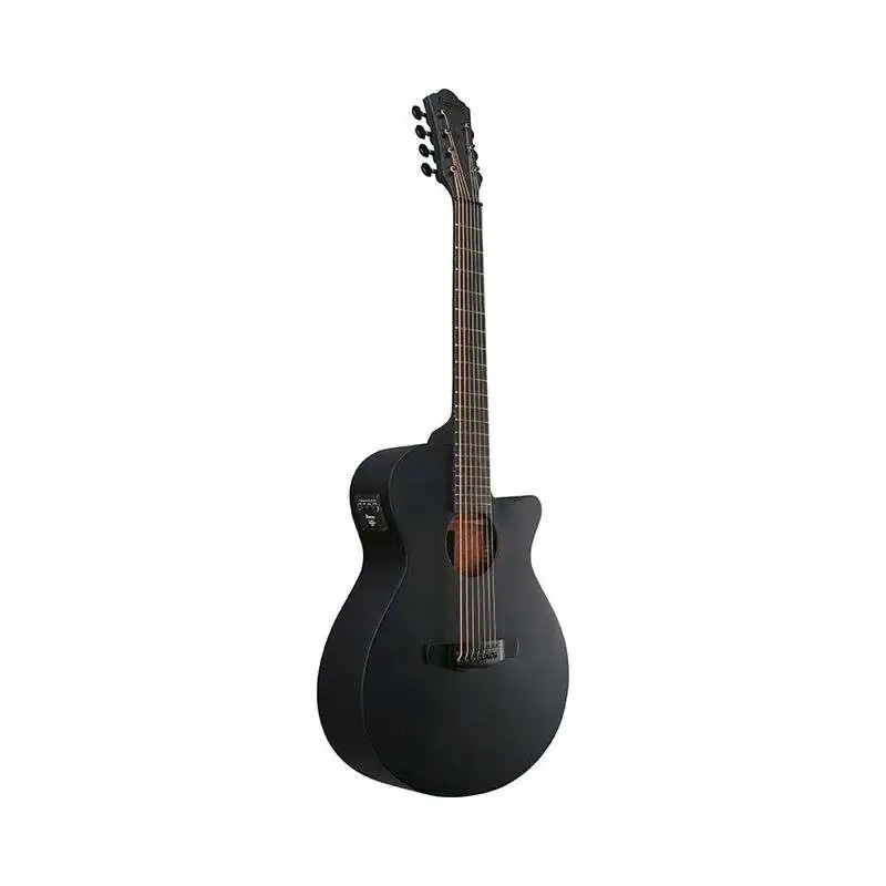 Ibanez AEG721-BOT